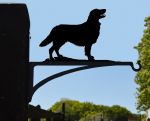 Retriever Dog Hanging Basket Bracket